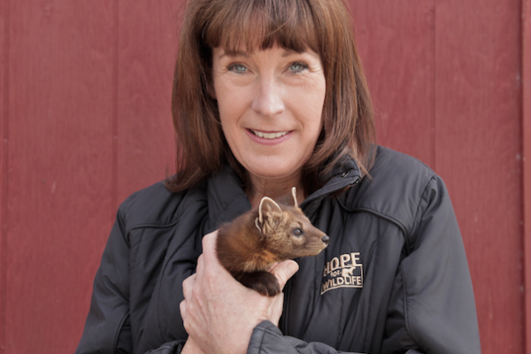 Hope For Wildlife