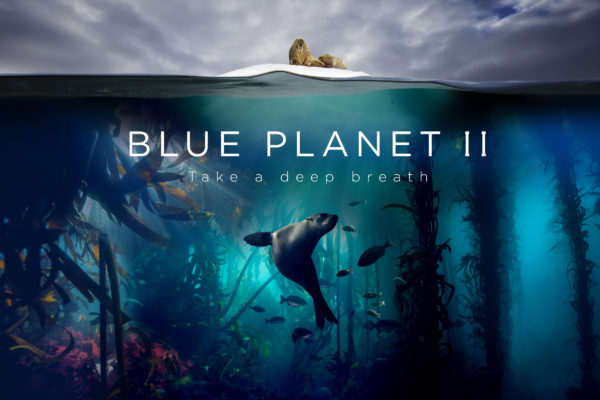 BLUE PLANET II