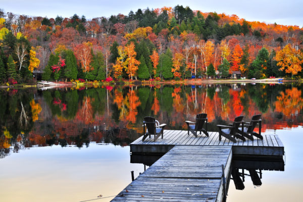 The Virtual Fall Cottage Life Show
