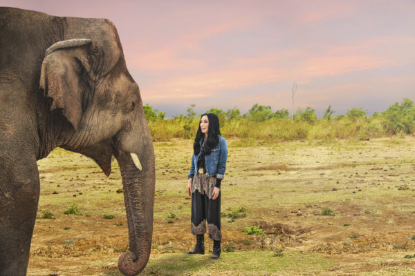Cher & The Loneliest Elephant