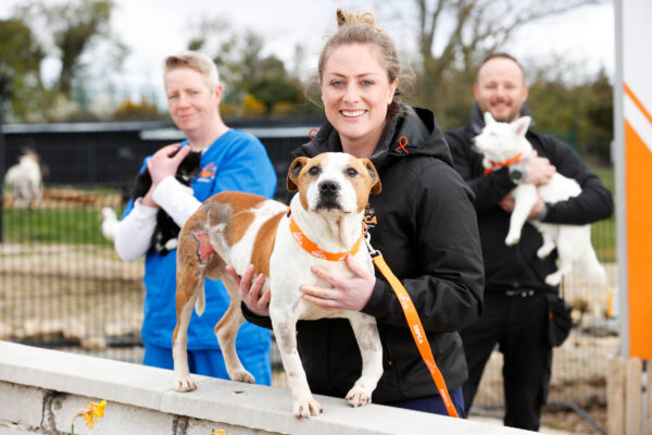 The Shelter DSPCA Picture Conor McCabe Photography.