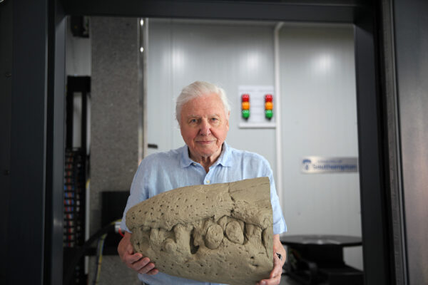 Attenborough And The Jurassic Sea Monster