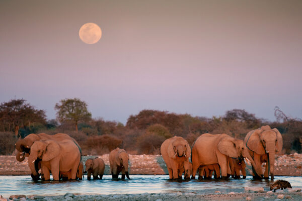 WildSideofTheMoon_LoveNature_edit