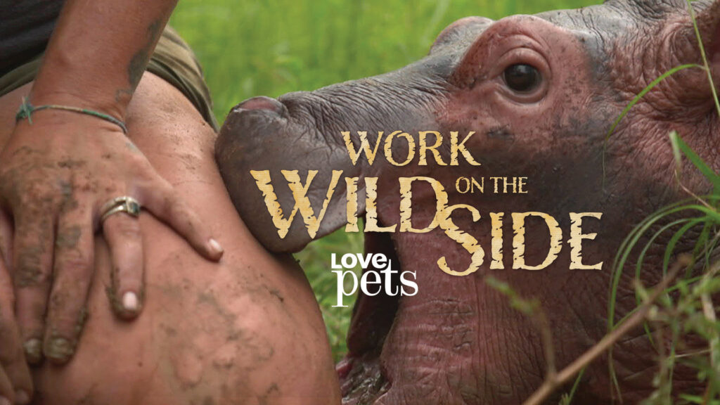 LovePets_Wildside_Updated