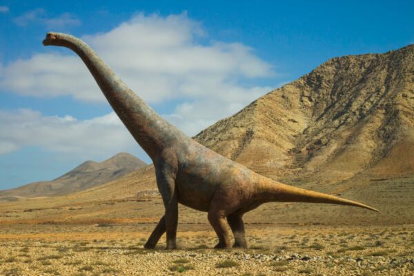 A Lusotitan dinosaur stands in a field with mountains in the background and a blue sky with some clouds overhead.