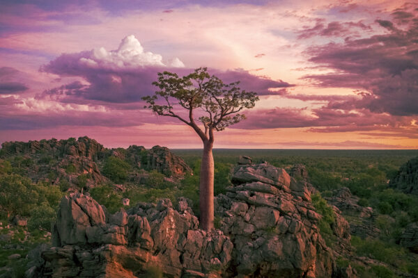 TheKimberley_KeyArt_clean